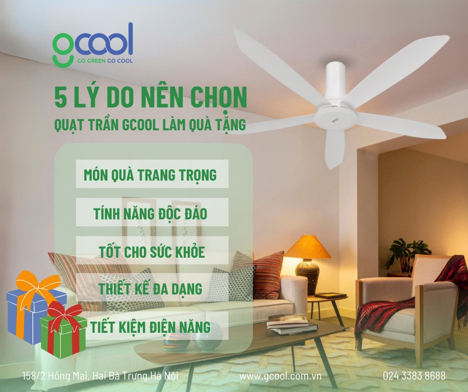 Tin tức
