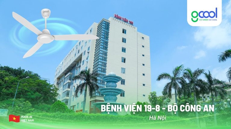 Dự án