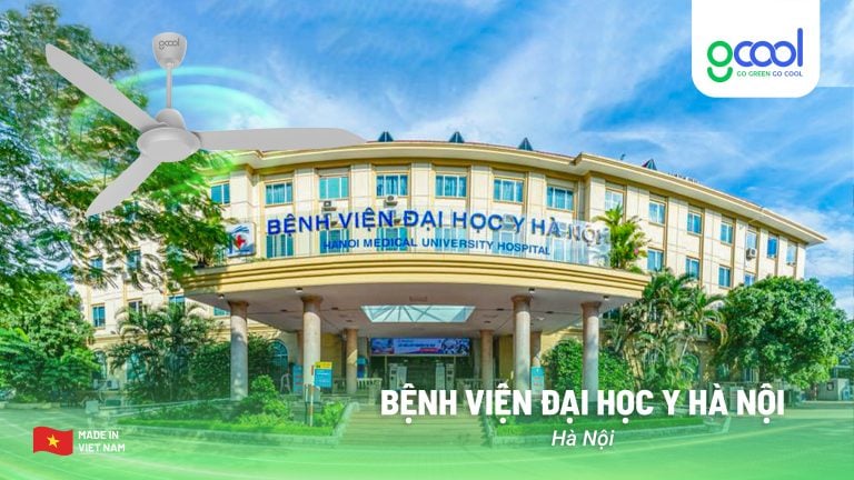 Dự án
