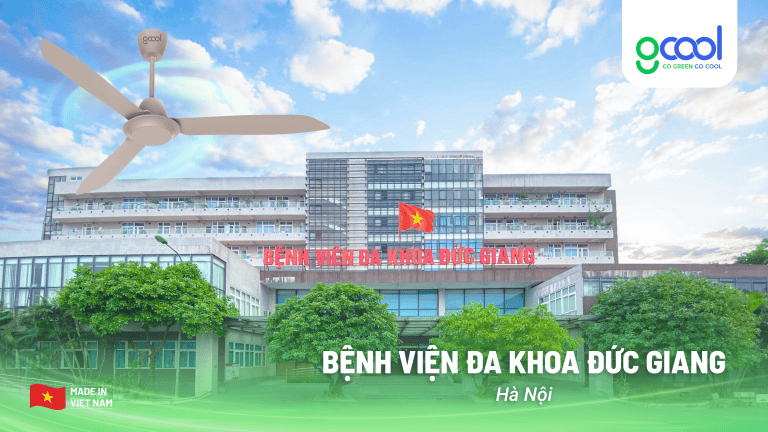 Dự án