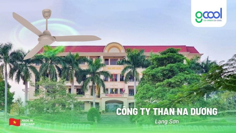 Dự án