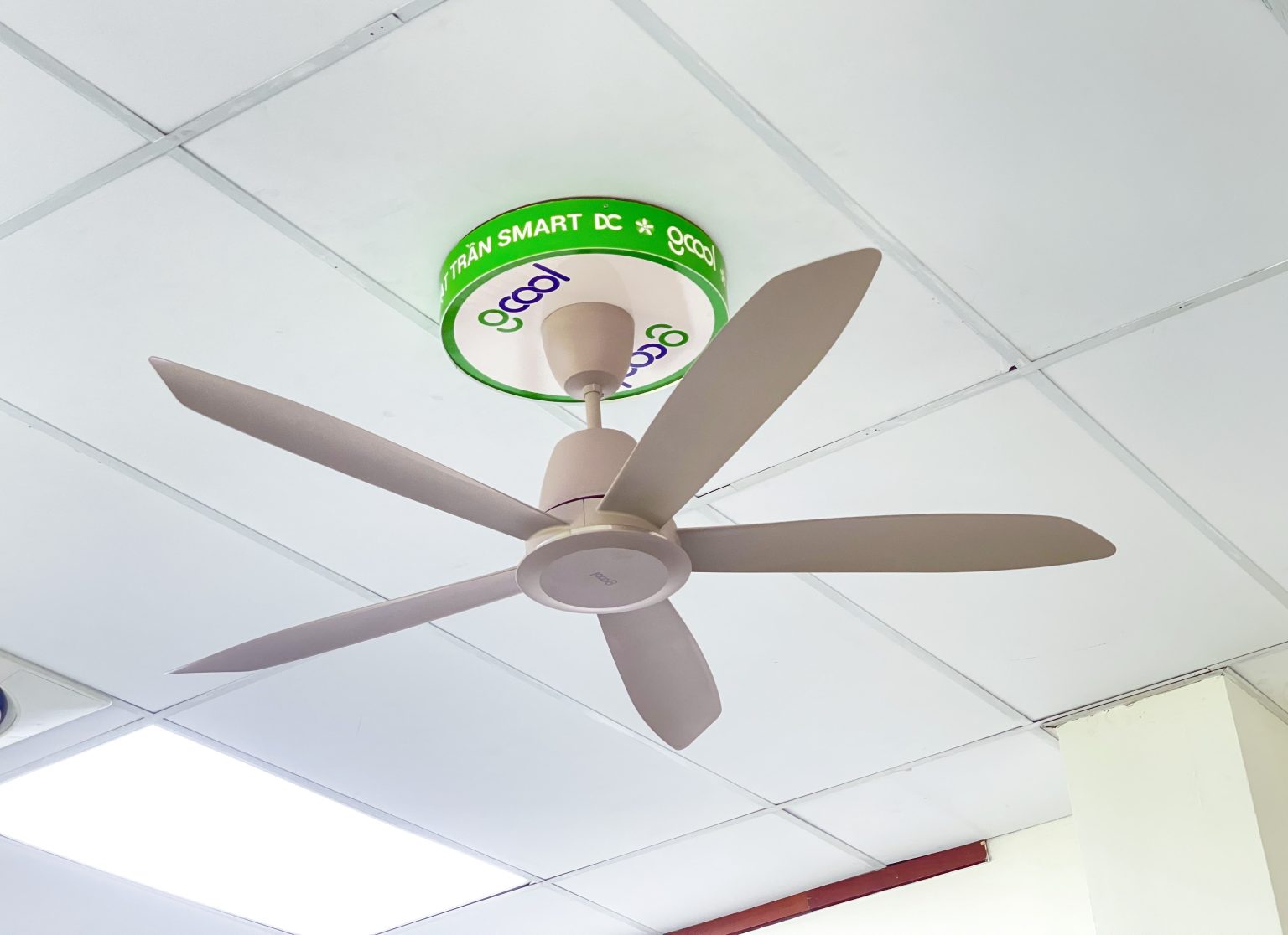 Thư viện